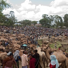 bati market with balehageru trekking ethioia