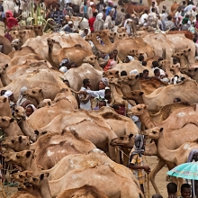 bati market with balehageru trekking ethioia