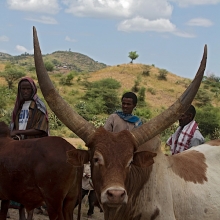 bati market with balehageru trekking ethioia