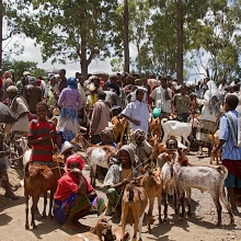 bati market with balehageru trekking ethioia