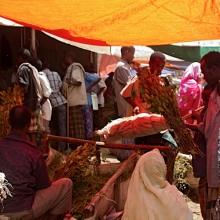 bati market with balehageru trekking ethioia